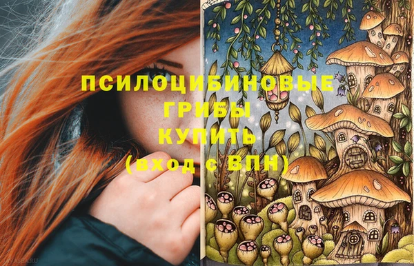 бошки Алзамай