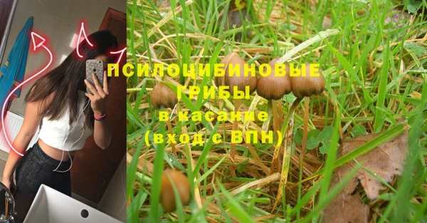 бошки Алзамай