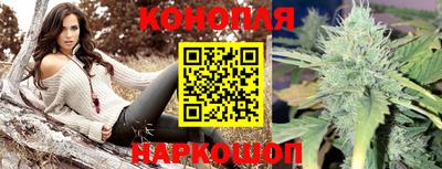 гидропоника Партизанск