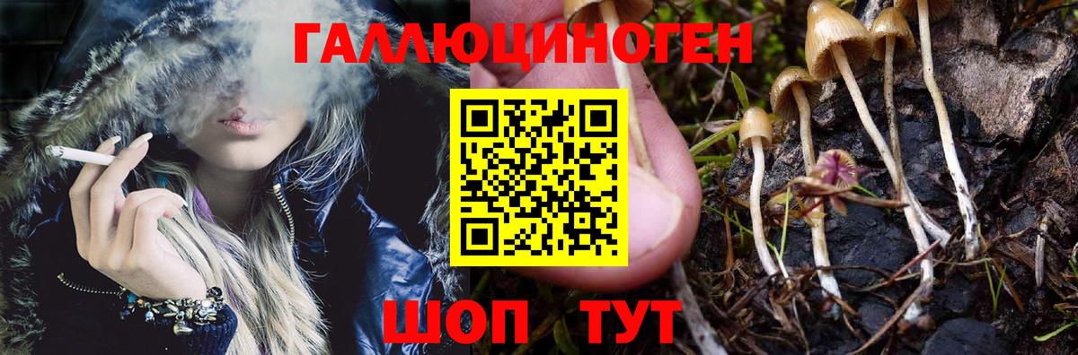 Галлюциногенные грибы ЛСД Тихвин