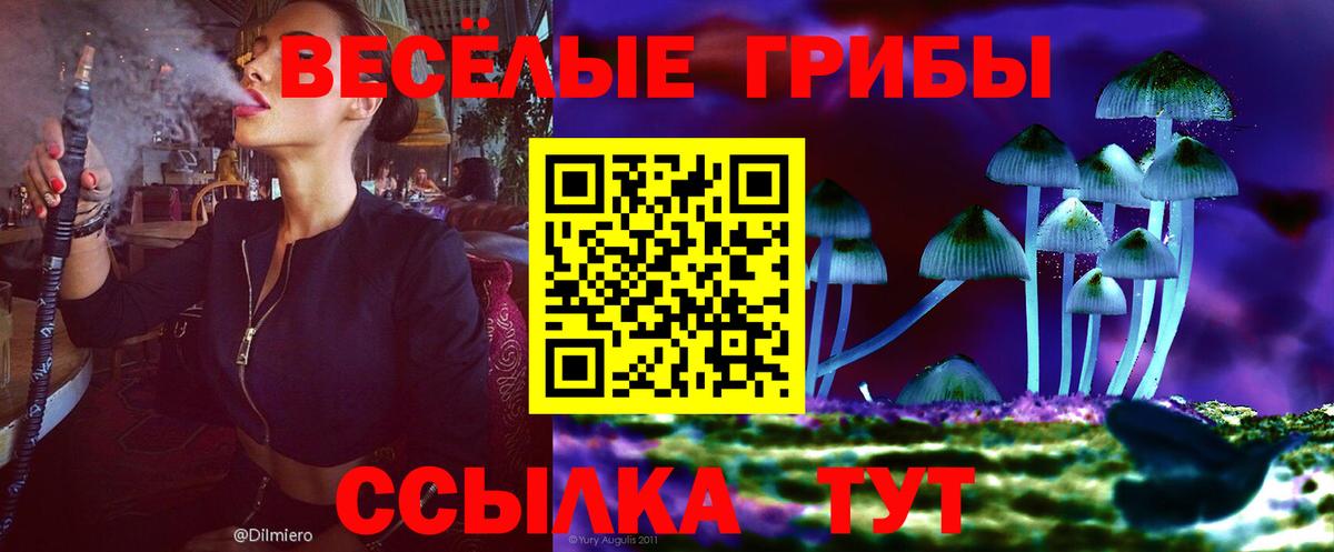 Галлюциногенные грибы мицелий  Вход с VPN  Тихвин 